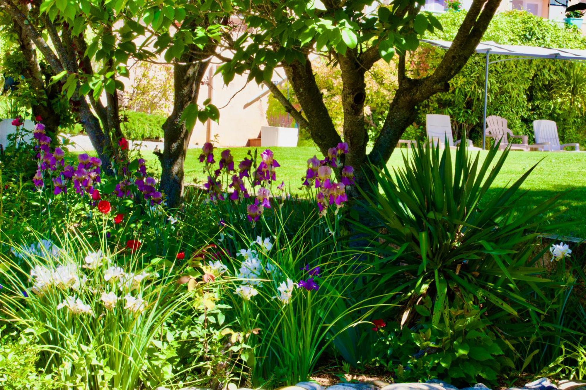 La Bastide Des Roses Saint-Julien-d'Asse Exterior foto