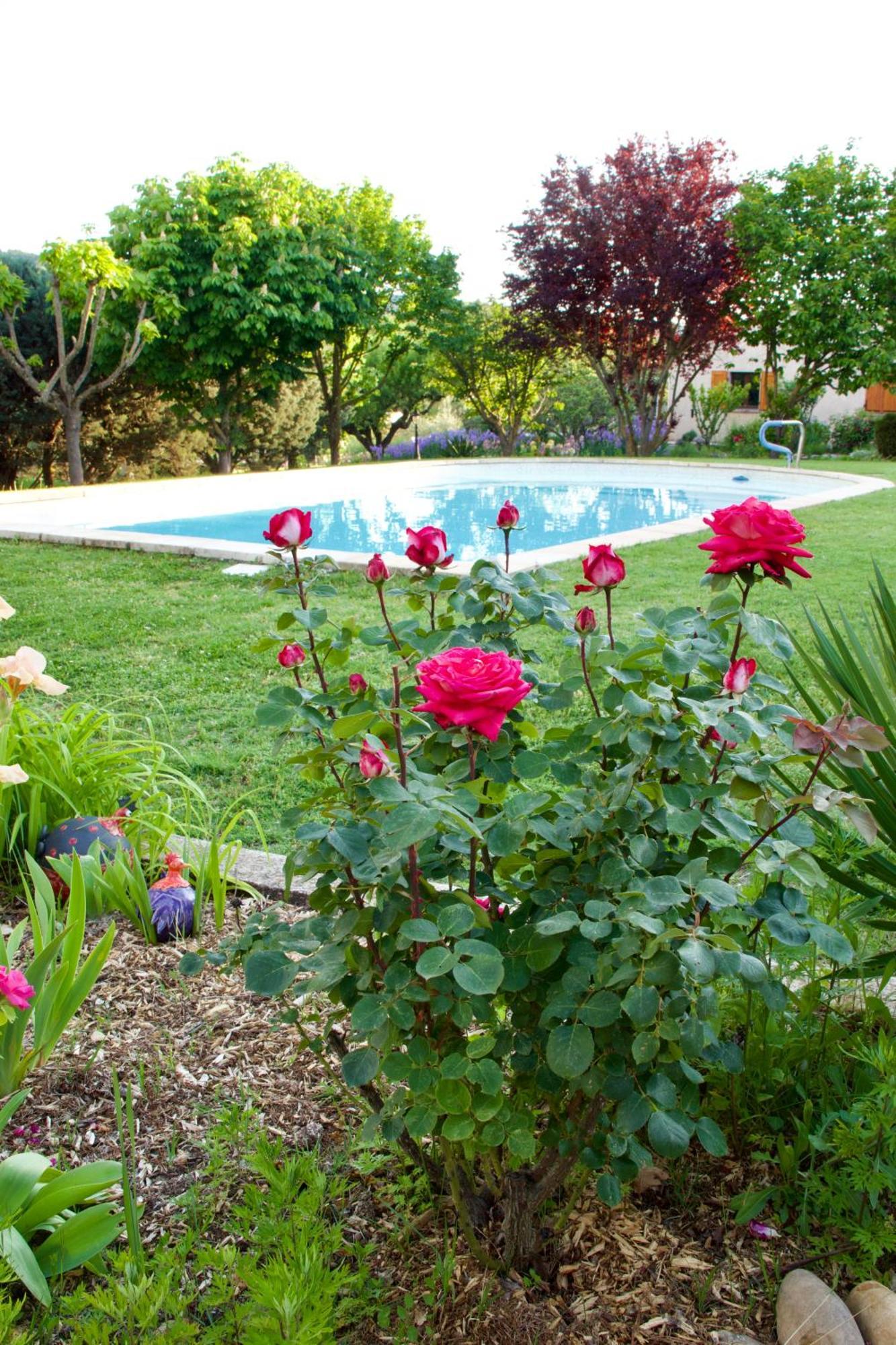La Bastide Des Roses Saint-Julien-d'Asse Exterior foto