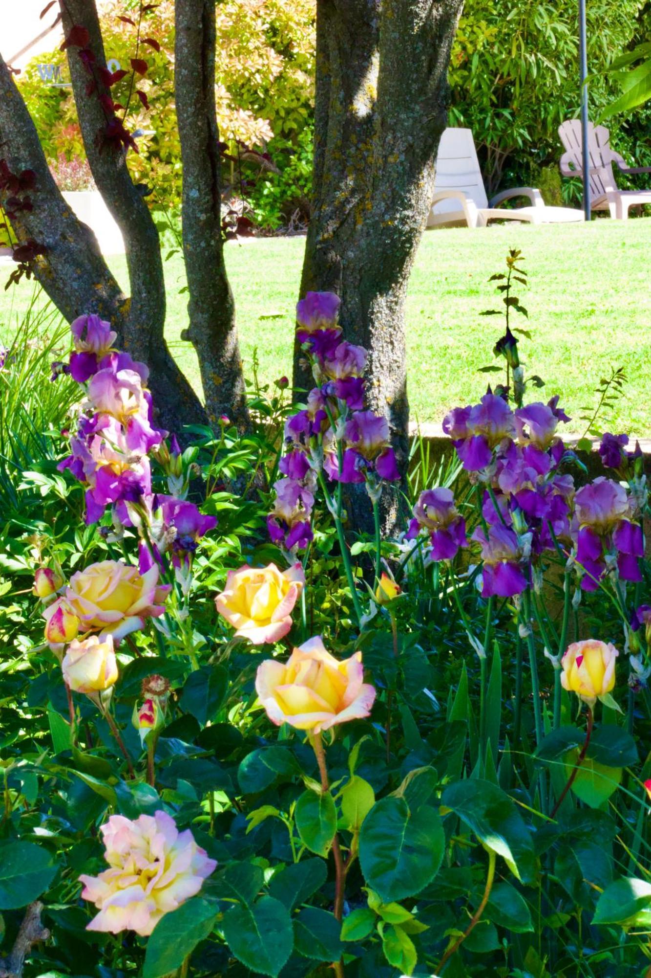 La Bastide Des Roses Saint-Julien-d'Asse Exterior foto